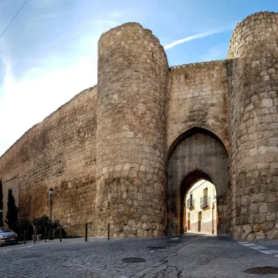 almazan puertas